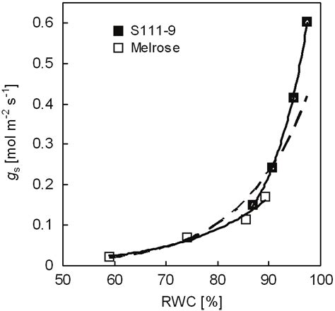 Relationship Between Relative Water Content Rwc And Stomatal Download Scientific Diagram