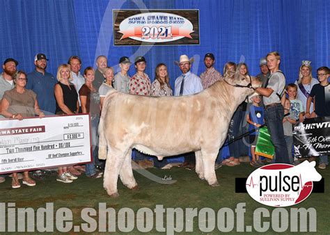 Rcc Blog Updated Pictures Of Top 5 Steers At Iowa State Fair