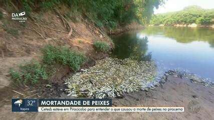 Ambientalista aponta possíveis causas para mortandade de peixes no Rio