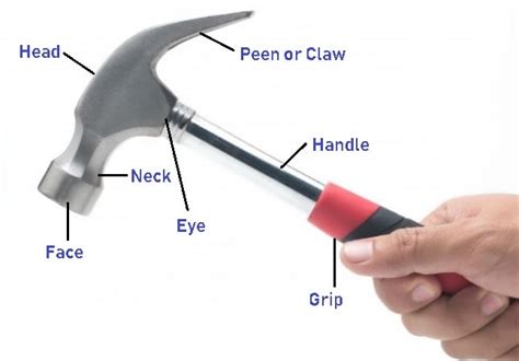 Parts Of A Hammer Diagram