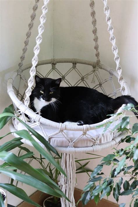 10 Top Creative Diy Basket For Cat To Your Home 30 Cat Hammock Cat