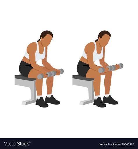 Woman doing seated dumbbell palm up wrist curls Vector Image