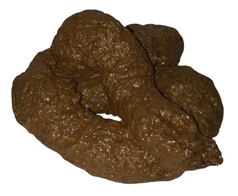 Nicky Bigs Novelties Deluxe Fake Dog Poop Crap Pile