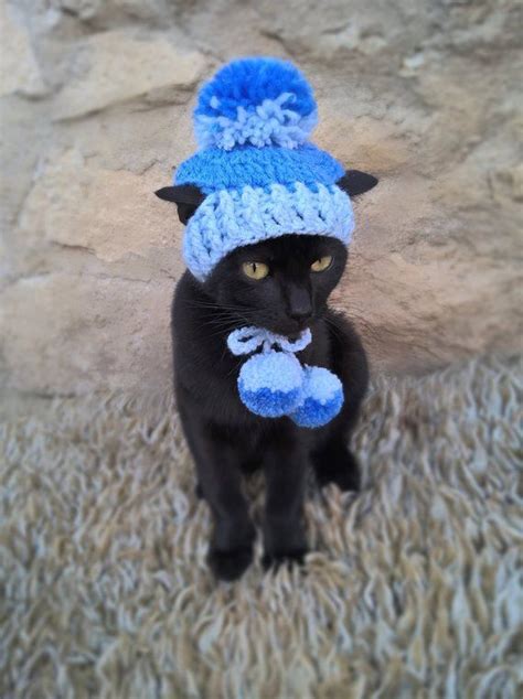 Witch Hat for Cat, Pet Costume, Cat Halloween Costume, Pet Halloween Witch Outfit, Gift for Pet ...