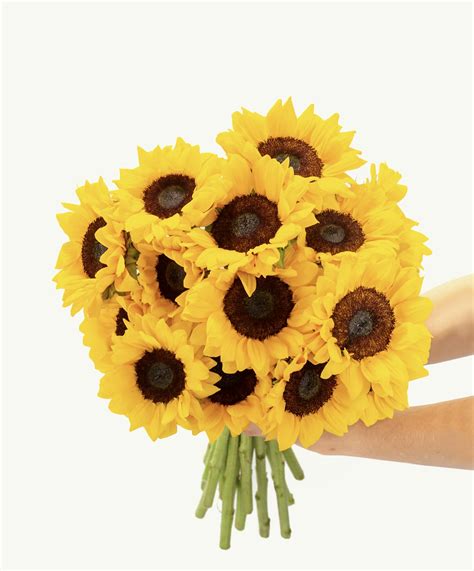 Sunflower Delivery | Flowers Delivery | BloomsyBox