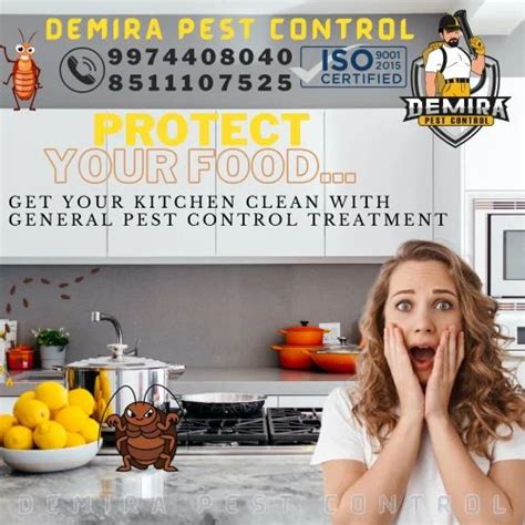 Cockroach Pest Control Service In Thaltej Ahmedabad ID 22021924712