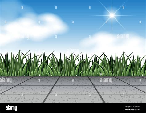 Scene With Grass And Floor Stock Vector Image And Art Alamy