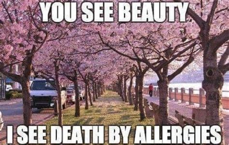 These Allergy Memes Are Perfect For Spring Spring Has Sprung Memes