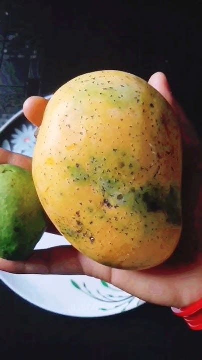 कच्चे और पके हुए आम से बनाएंगे मैंगो फ्रूटी🧃l Home Made Mango Fruiti