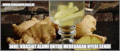 Jahe Khasiat Alami Untuk Meredakan Nyeri Sendi Desa Sungai Duo