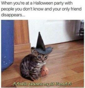 Funny And Relatable Halloween Memes Darcy