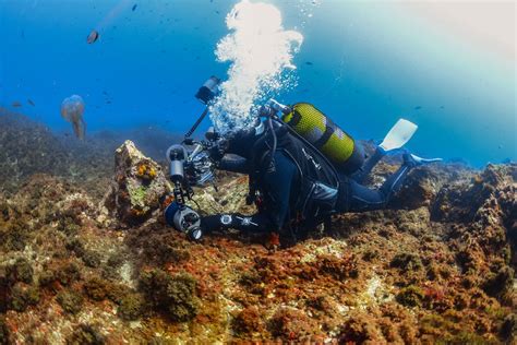 Fot Grafo Subacu Tico Padi Open Water La Herradura