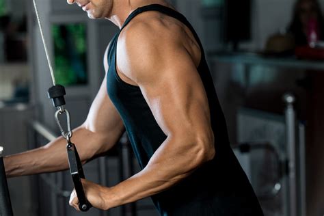 Comment Muscler Ses Triceps Conseils Et Exercices