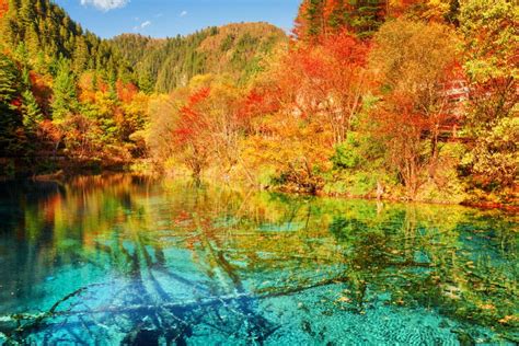 102 Five Flower Lake Multicolored Lake Autumn Forest Stock Photos ...