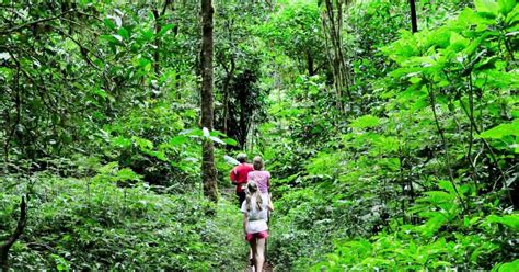 Munduk Bali Tamblingan Lake Rainforest Trekking Canoeing Getyourguide