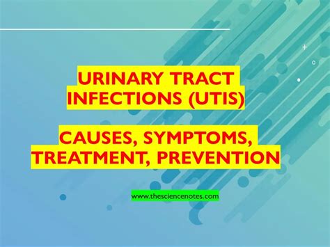 Urinary Tract Infections Utis Causes Symptoms Treatment Prevention