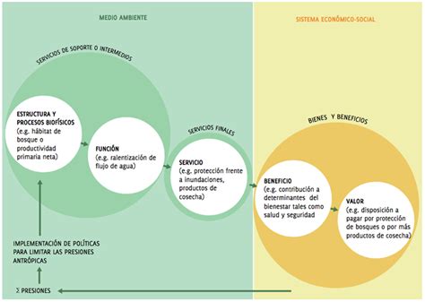 Servicios Ecosistémicos MMA