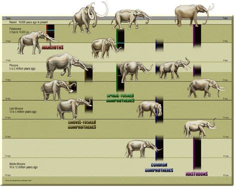 7 Extinct Animals ideas | extinct animals, mammals, animals