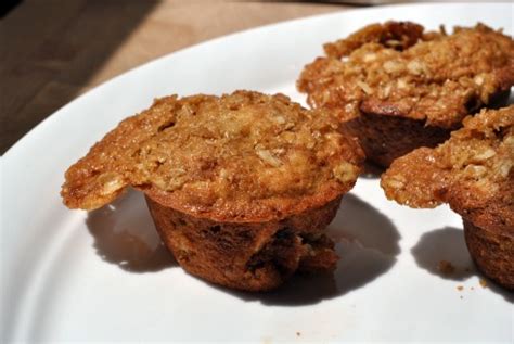 Sour Cream Banana Muffins With Oatmeal Crumble