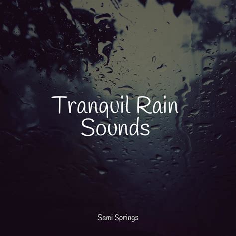 Tranquil Rain Sounds Album By Ambient Music Therpy Spotify