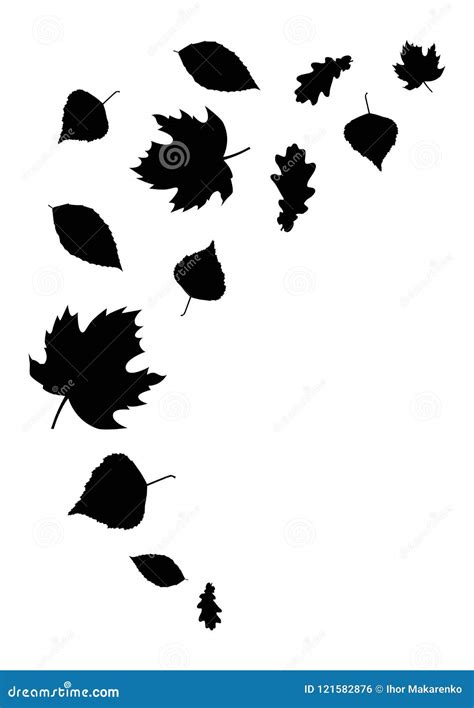 Autumn Leaves Vector Black And White