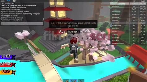 Roblox Yin Vs Yang Ninja Assassin Best Hidden Places To Hidetrain