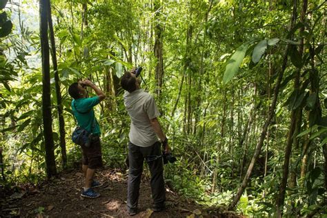 Tortuguero Passeggiata Di Un Giorno Nel Parco Nazionale Del Tortuguero