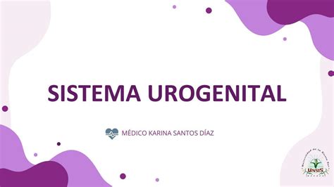 Sistema Urogenital López Brayaan Udocz