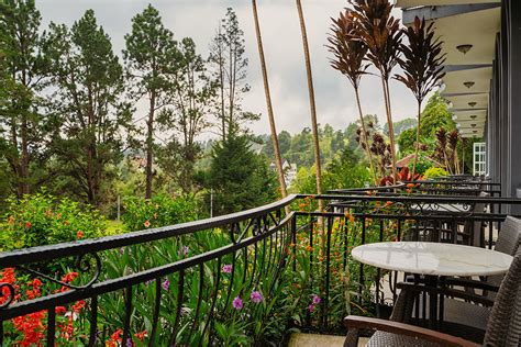 【review】cameron Highlands Resort Malaysia The Local Travel Guide