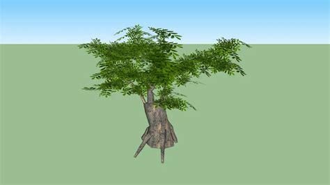 Trees 3d Warehouse