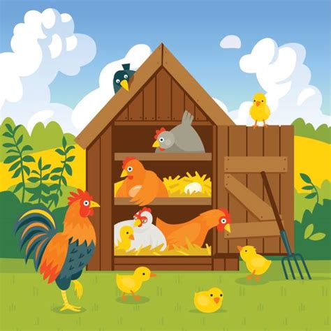 Chicken Coop Illustrations Royalty Free Vector Graphics And Clip Art