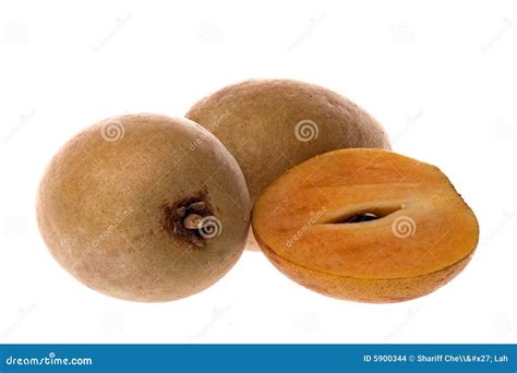 tropical ciku fruits stock photo image  nutrition healthy