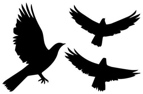 Fliegende Vogel Silhouetten Vektor Illustration Wei Er Hintergrund