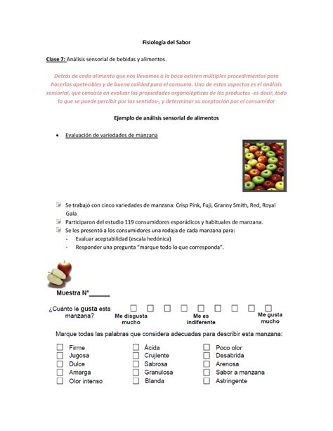 Fisiologia Del Sabor Fisiolog A Fisiolog A Del Sabor Clase An