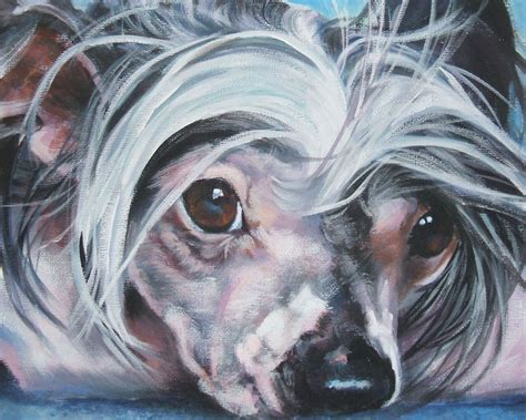 Chinese Crested Dog Art Portrait Canvas Print Of Lashepard Etsy Dog