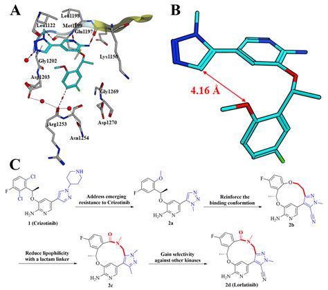 Molecules Free Full Text An Insight Into The Medicinal Chemistry