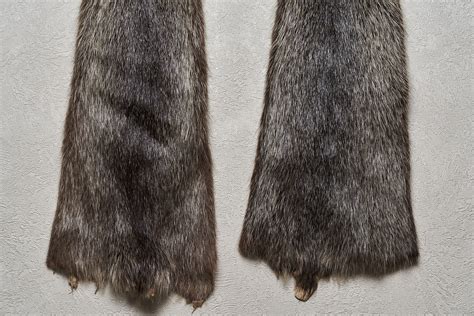 Nutria Coypu Lot Of Tanned Fur Pelts Skin Hide For Sale Real