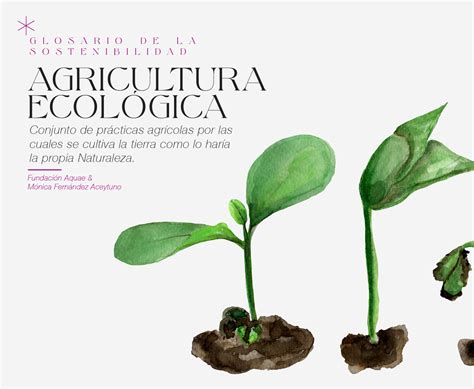 Agricultura Ecológica Fundación Aquae