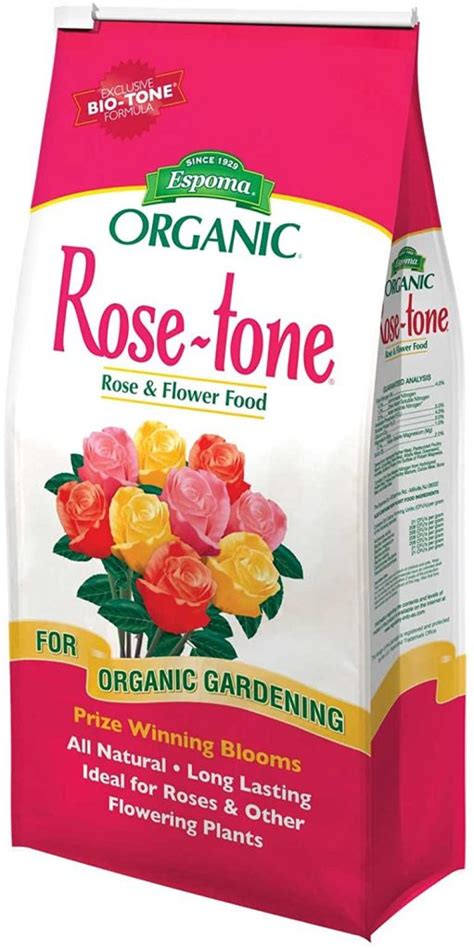 Best Rose Fertilizer For Healthy Blooms Storables