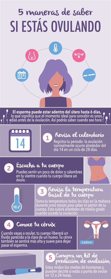 ¿cómo Saber Si Estoy Ovulando Infografía Maternidadfacil