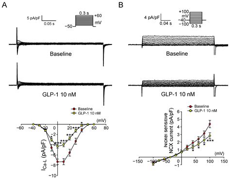 Ijms Free Full Text Glucagon Like Peptide 1 Receptor Activation