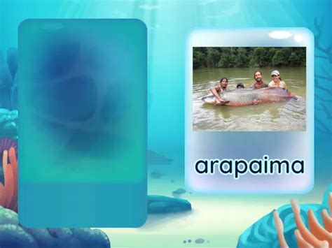 Animals in the Aquarium (Flashcards) - Random cards