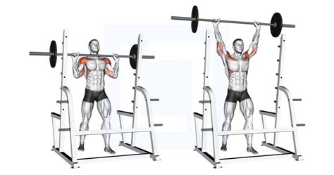 Barbell Standing Military Press - Guide, Benefits, and Form