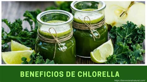 Cómo Tomar Chlorella Para Mejorar La Salud