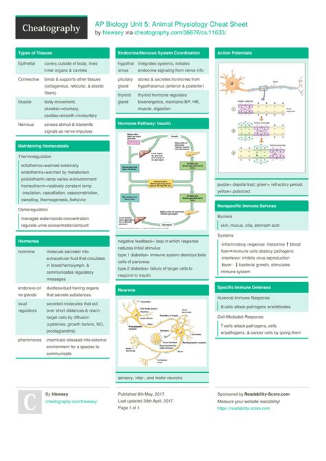 Ap Biology Unit 5 Animal Physiology Cheat Sheet By Hlewsey Download