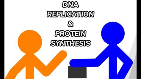 Secrets Of Dna Replication And Protein Synthesis Youtube