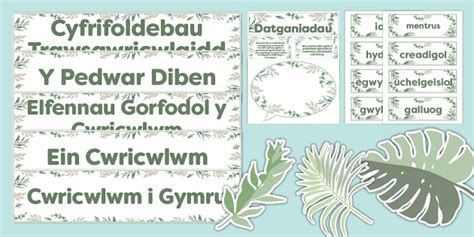 Pecyn Arddangos Cwricwlwm I Gymru Thema Botanegol Twinkl