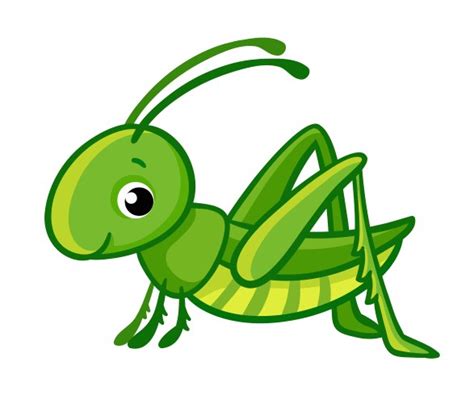 Cartoon Grasshopper Vector Images (over 2,500)