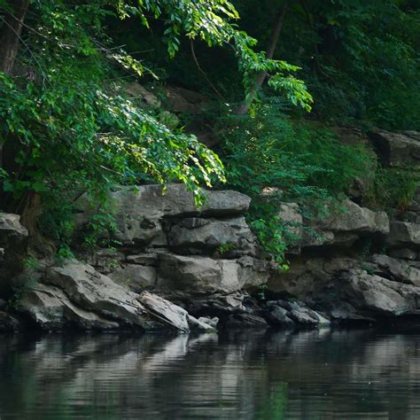 Therapy for Kids in Gallatin | TN Mental Wellness