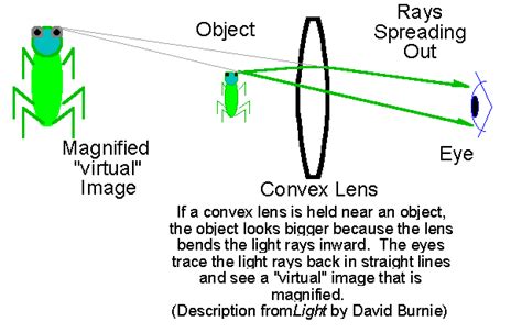 How A Magnifying Glass Convex Lens Works Science Education Dslr Lens Lenses